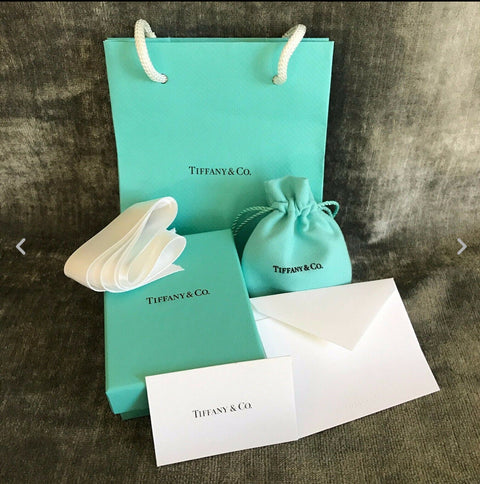 Tiffany & Co NEW Packaging Empty Blue Box Suede Pouch Gift Bag Ribbon and Cards