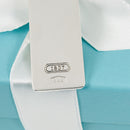 Tiffany & Co 1837 Money Clip in Sterling Silver-3