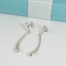 Tiffany & Co Teardrop Earrings Elsa Peretti Drop Elongated Dangle Earrings-3