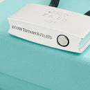 Tiffany & Co 1837 Padlock Black Rubber Key Ring Chain in Sterling Silver-6