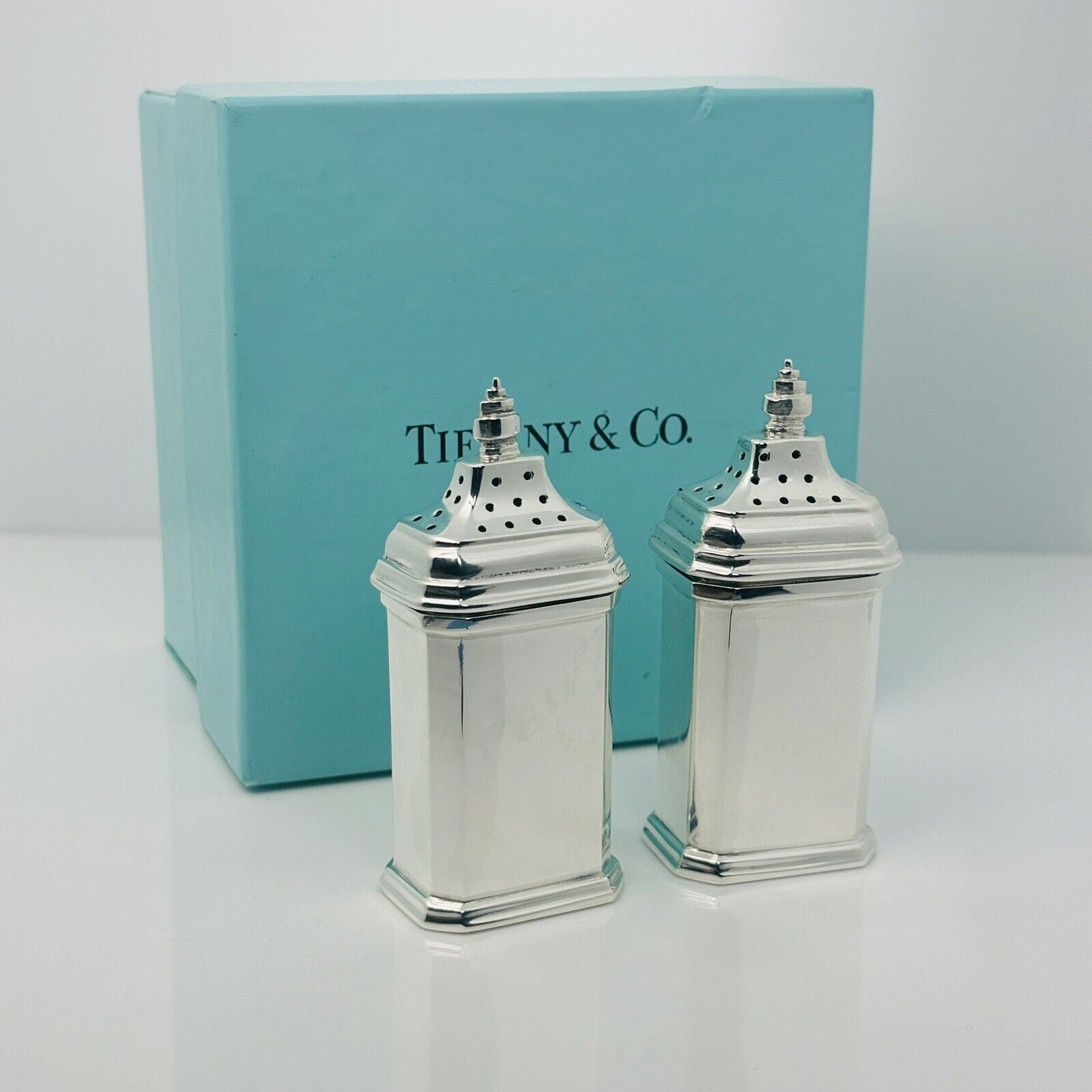 RARE Tiffany & Co Vintage Salt and Pepper Shaker Set in Silver