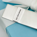 Tiffany & Co 1837 Money Clip in Sterling Silver-5