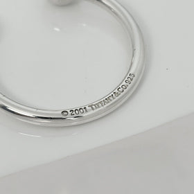 Tiffany & Co Extra Large Horseshoe Key Ring Chain Keyring Keychain - 0