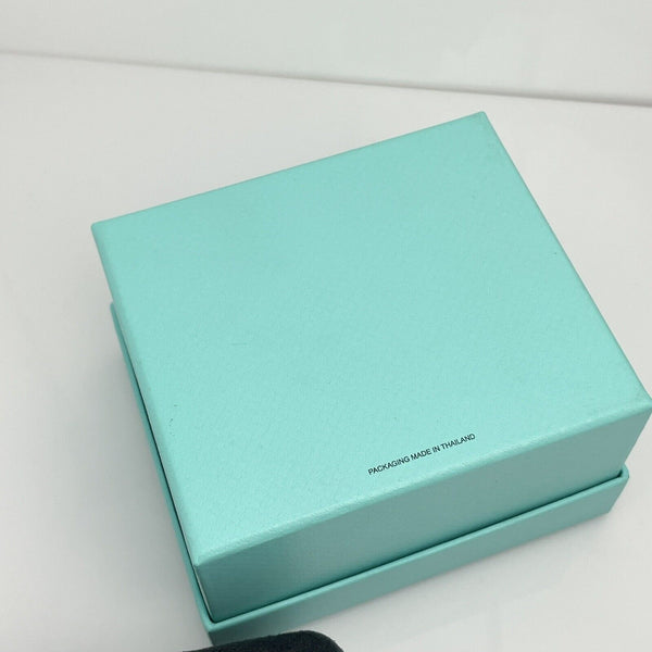 Tiffany Large Necklace Storage Gift Presentation Black Suede Box and Blue Box - 9