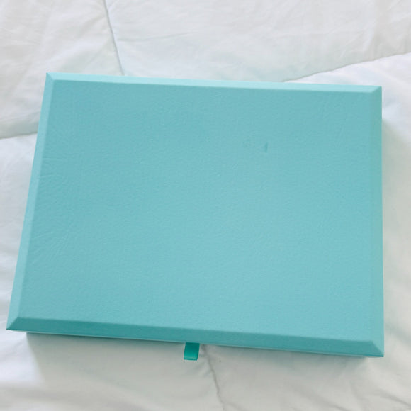 LARGE Tiffany & Co Large Blue Leather Suede Jewelry Box