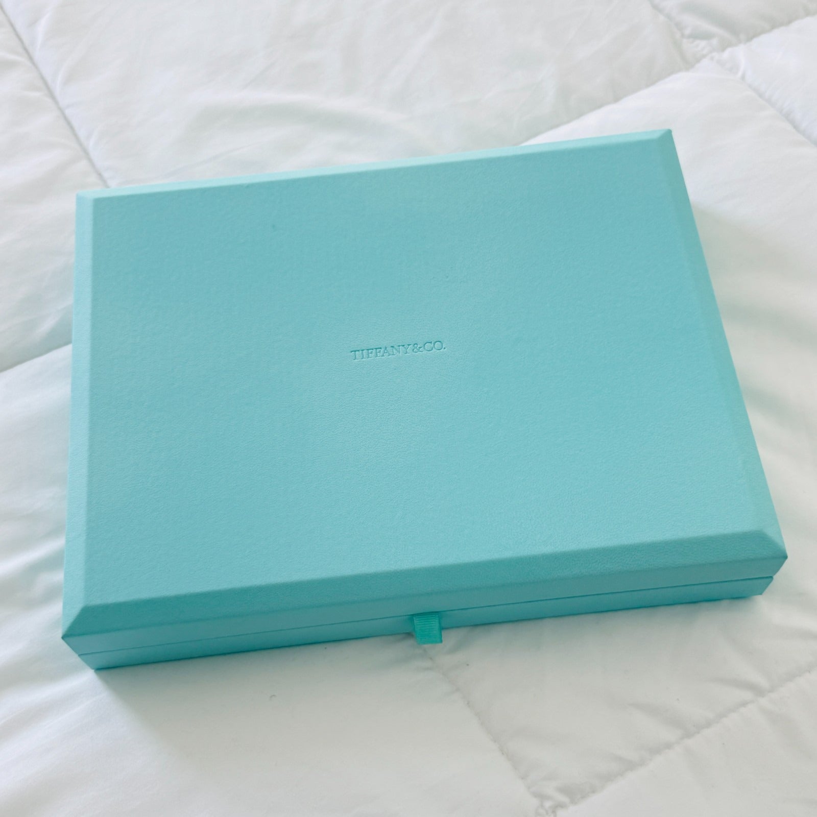 LARGE Tiffany & Co Large Blue Leather Suede Jewelry Box | The