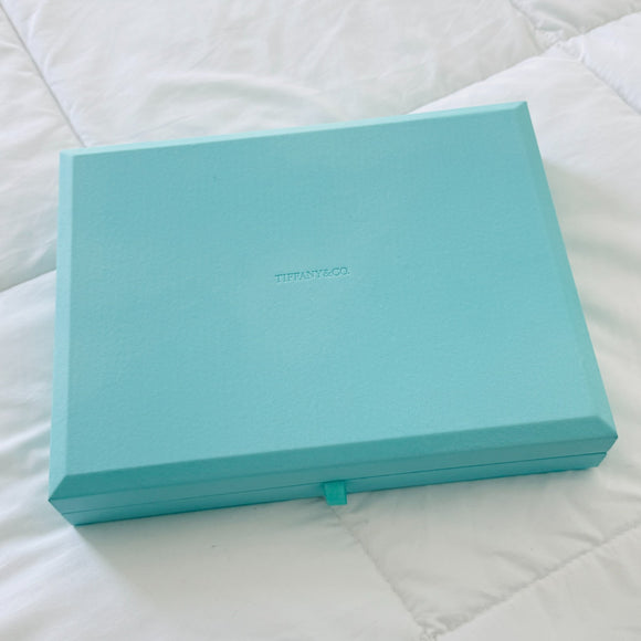LARGE Tiffany & Co Large Blue Leather Suede Jewelry Box