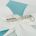 Tiffany & Co 1837 Champagne Bottle Pendant or Charm in Sterling Silver - 3