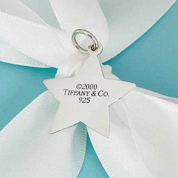 Tiffany & Co Star Charm or Pendant in Sterling Silver