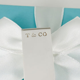 Tiffany & Co 1837 Money Clip in Sterling Silver - 0
