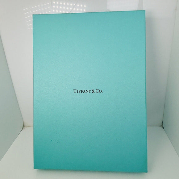 Tiffany Black Folding Suede Leather Necklace Presentation Blue Box Storage Pouch