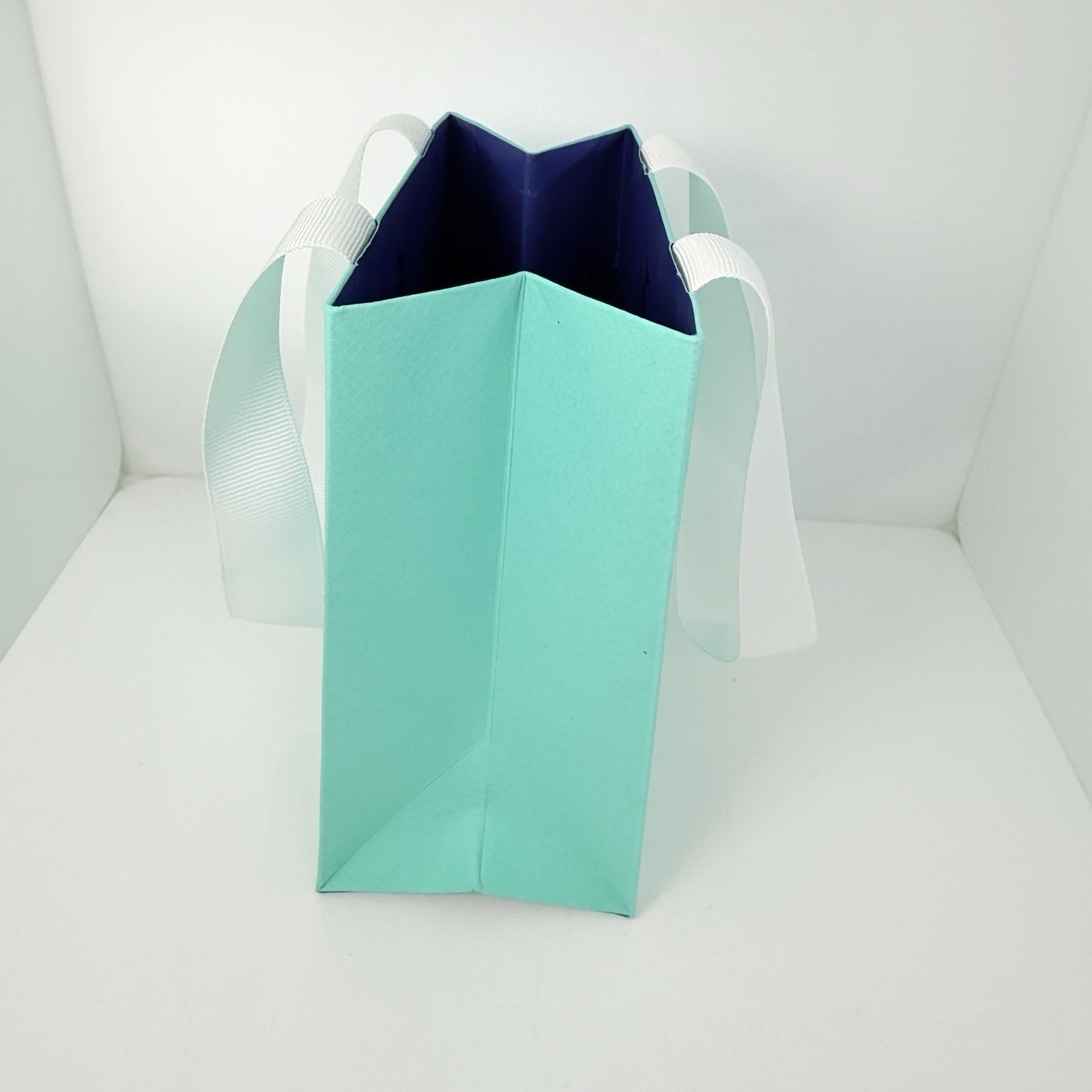 Tiffany & Co 2025 Limited Edition Blue Shopping Gift Bag 5.75