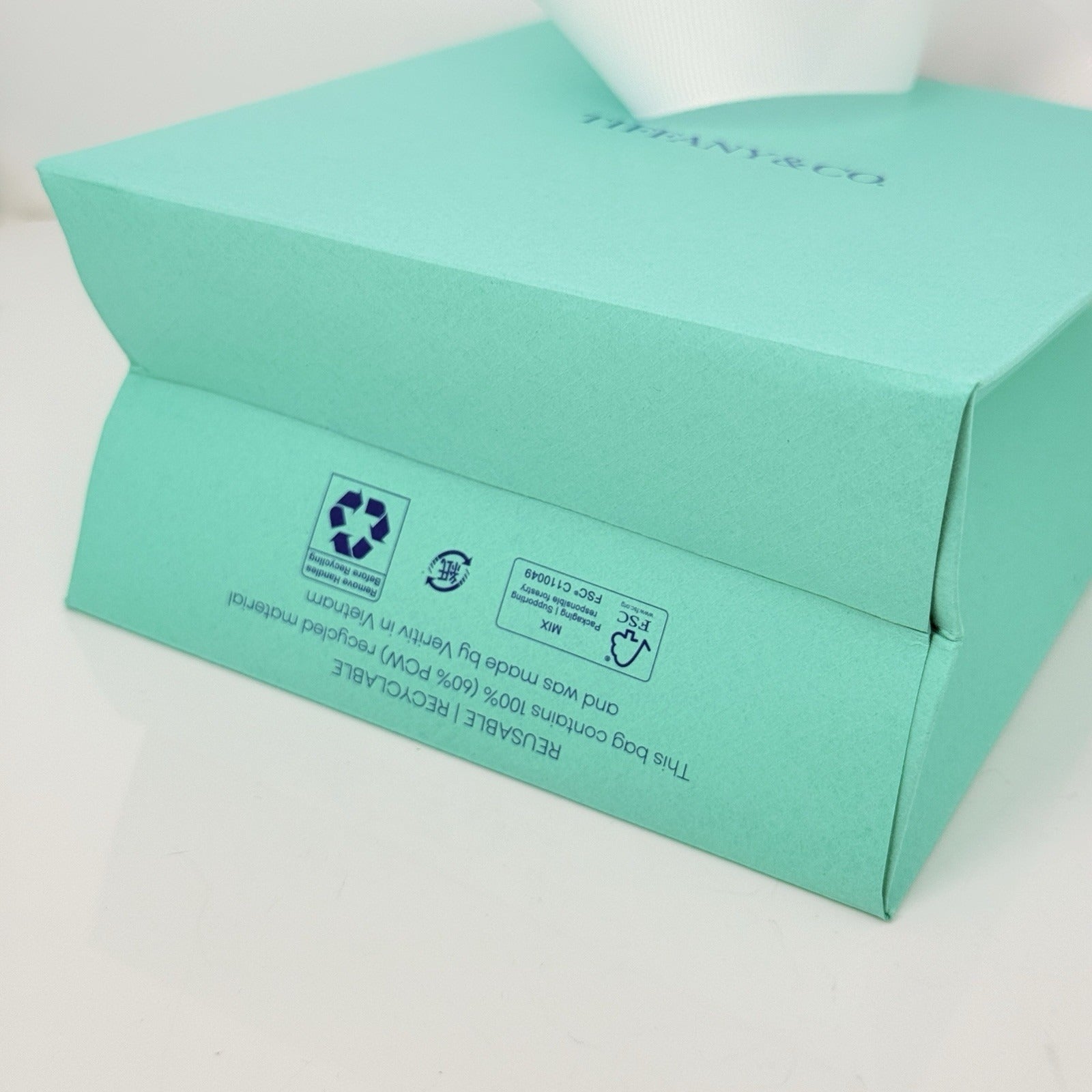 Tiffany & Co 2025 Limited Edition Blue Shopping Gift Bag 5.75